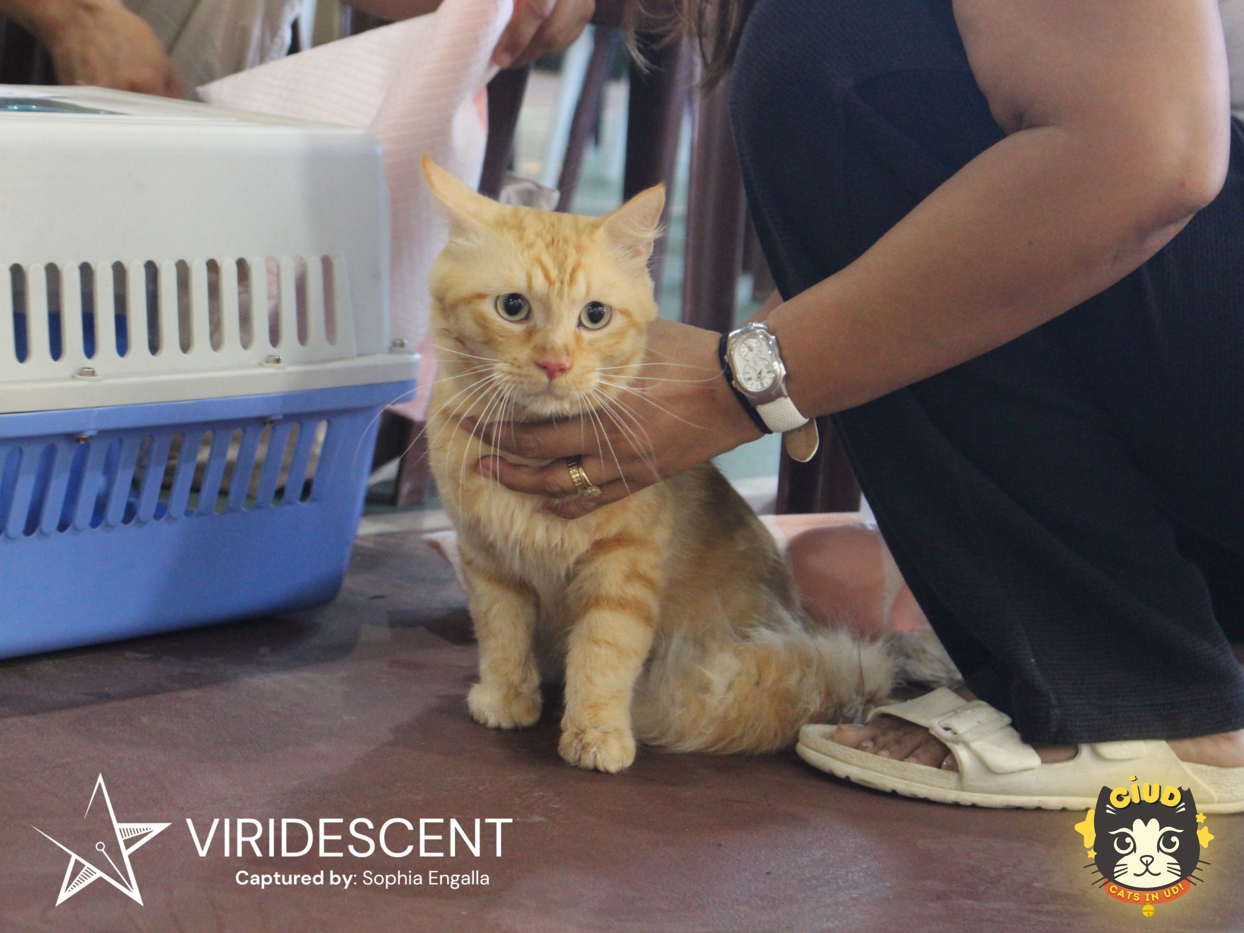 DLSU-D serves 407 animals in low-cost kapon event