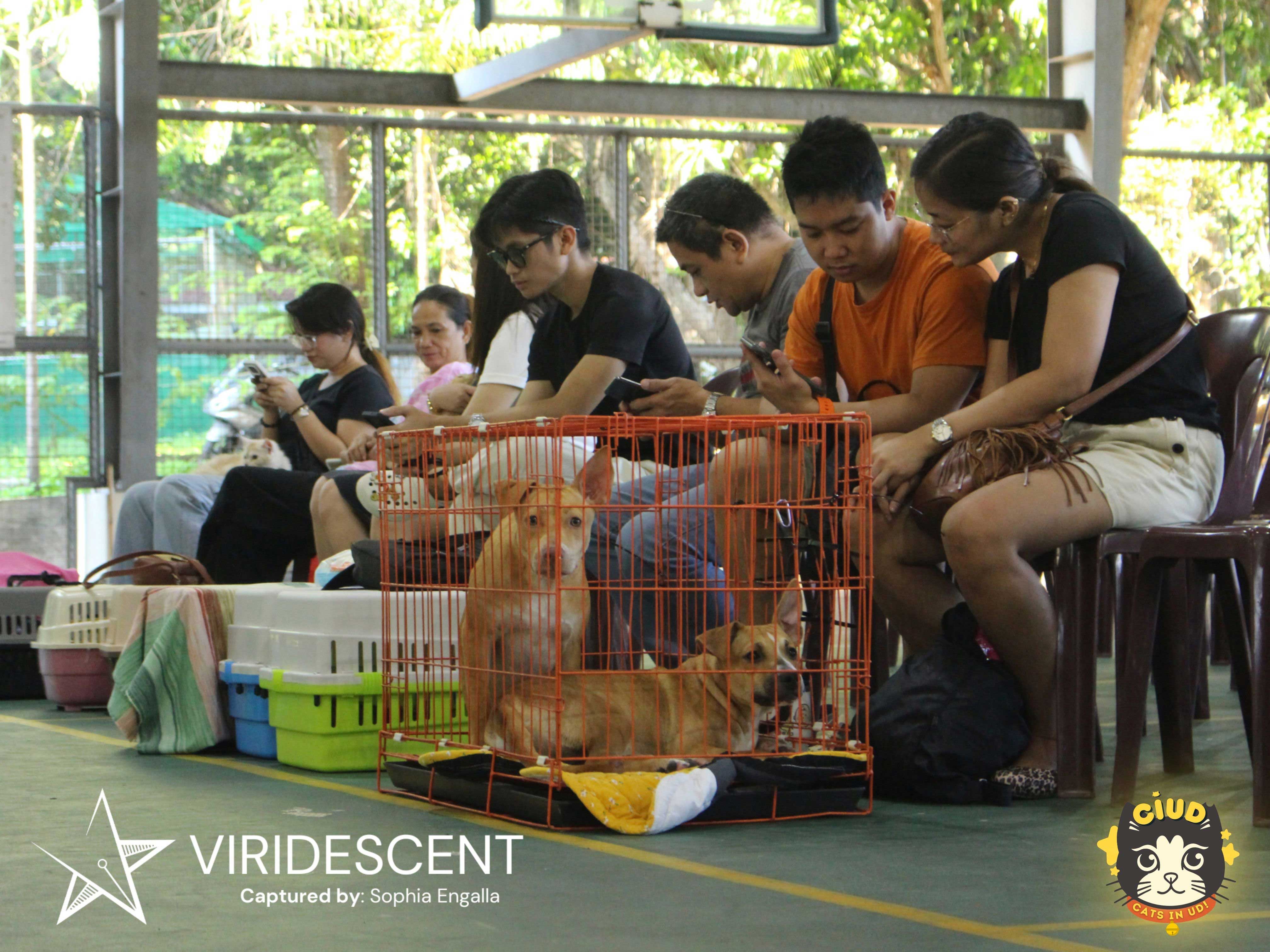 DLSU-D serves 407 animals in low-cost kapon event