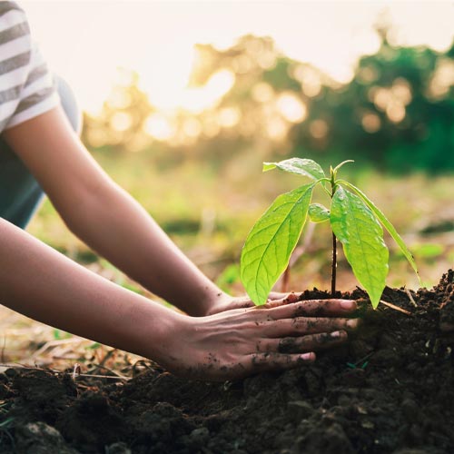 World Nature Conservation Day