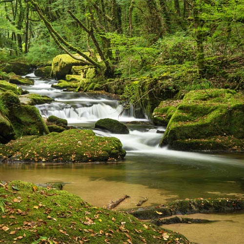 World Rivers Day