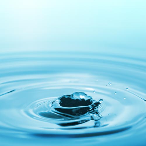 World Water Day