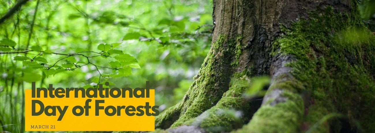 International Day of Forests