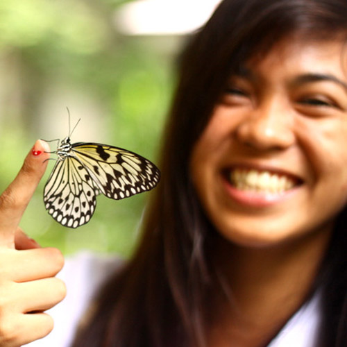 DLSU-D: A HAVEN FOR BIODIVERSITY
