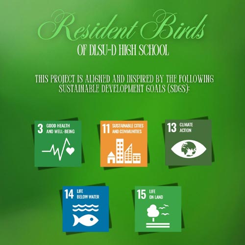 DLSU-D High School Honors Resident Birds
